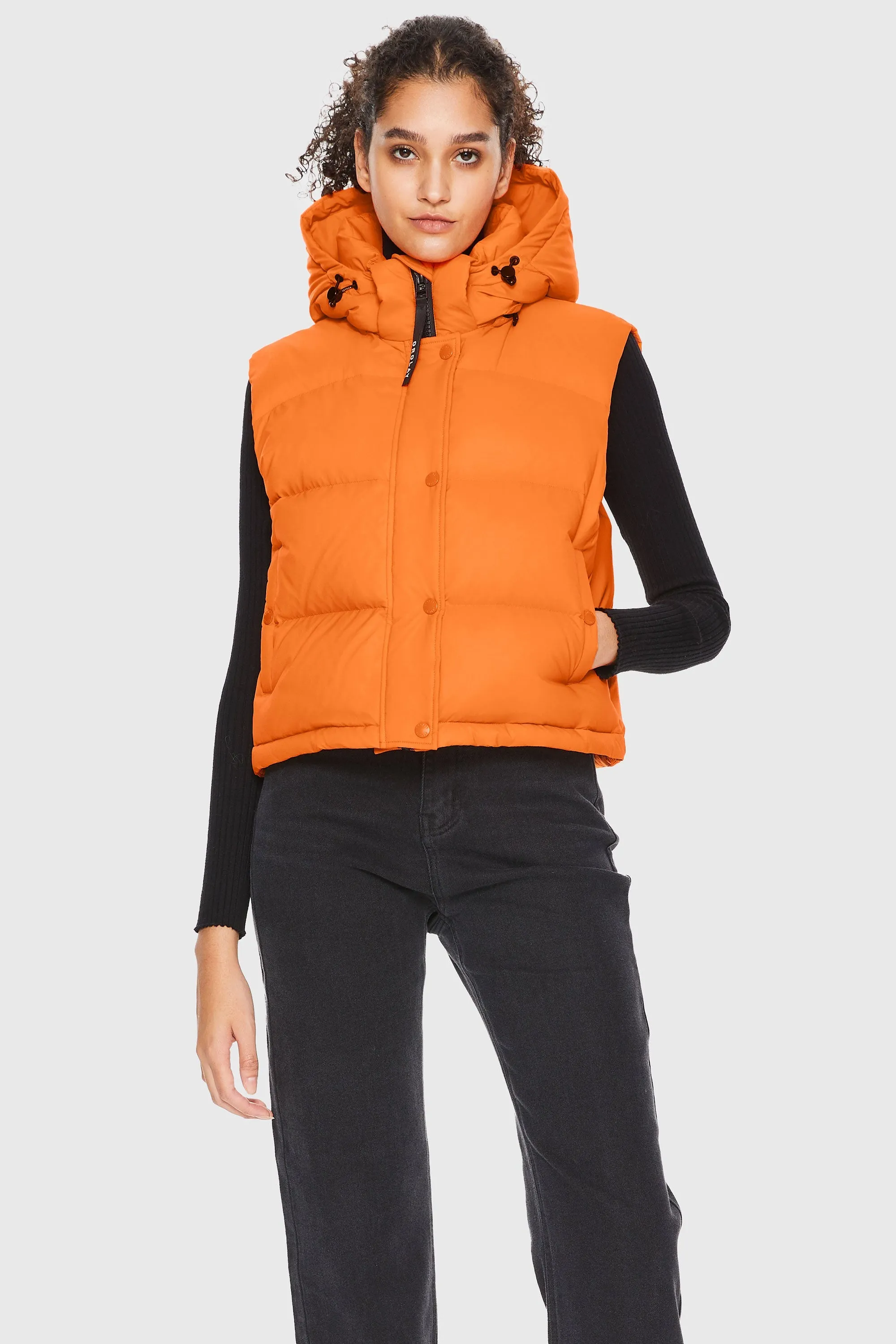 Aurora Vest Hooded Stand Collar Puffer Vest