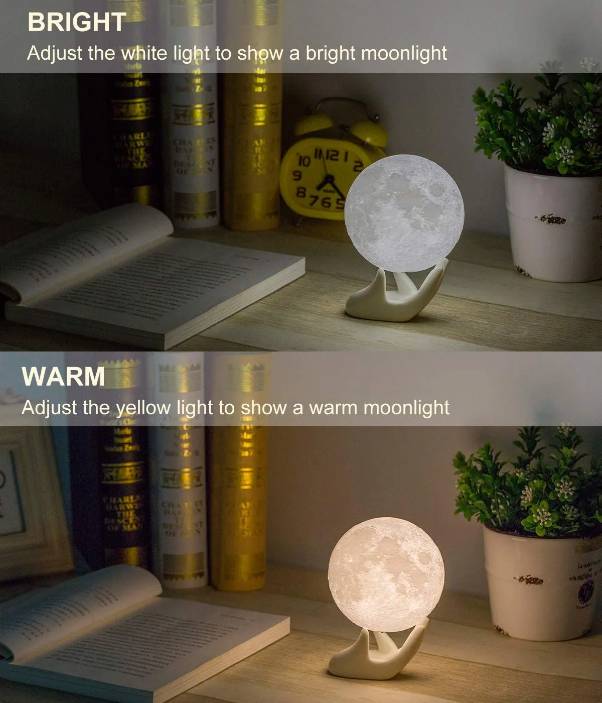 Lamp Moon light for Kids Gift for Women USB Charging and Touch Control Brightness 3D Printed Warm and Cool White (3.5In )